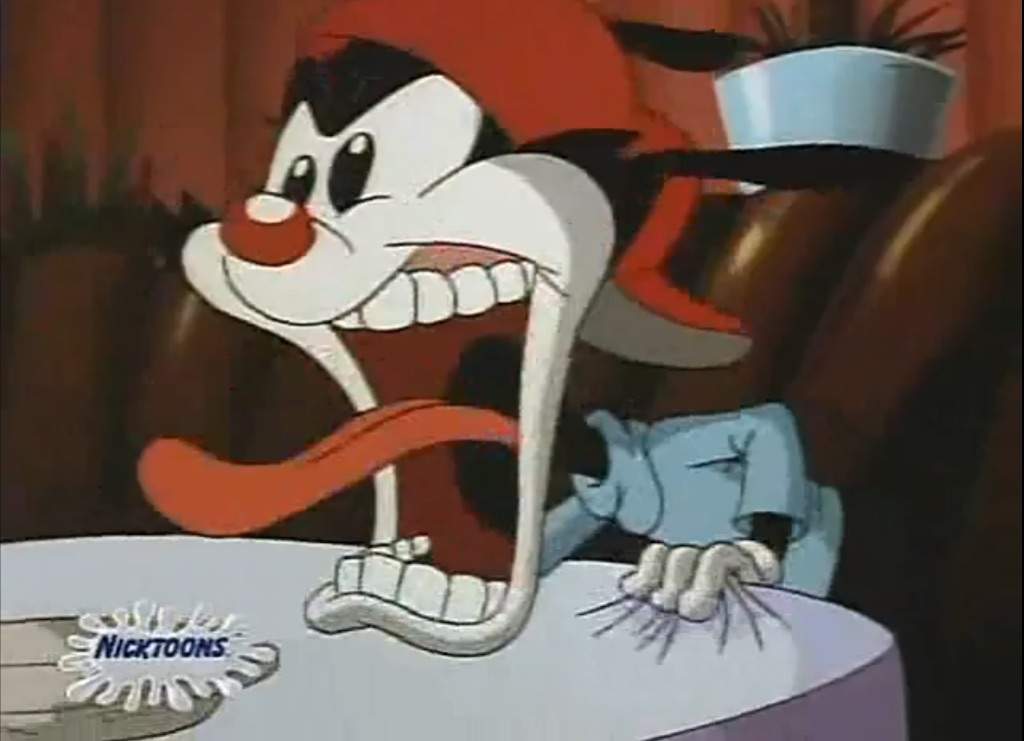 wakko-s-50-states-and-capitals-animaniacs-wakko-video-fanpop