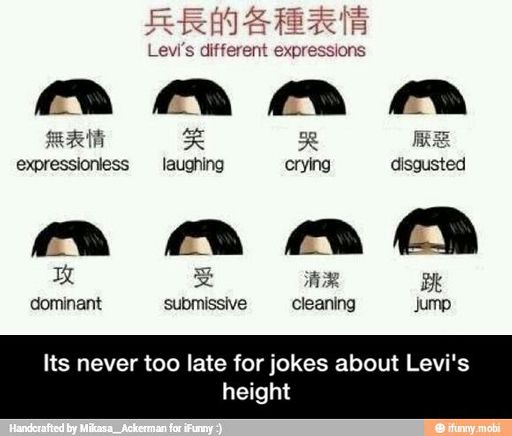 Jokes about Levi's | Anime Amino