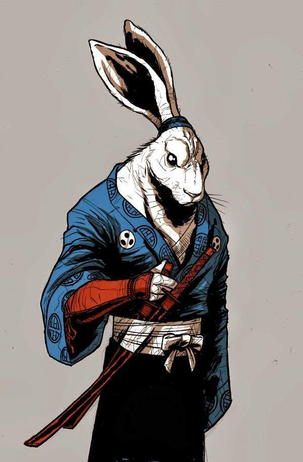 Usagi Yojimbo Netflix Series 