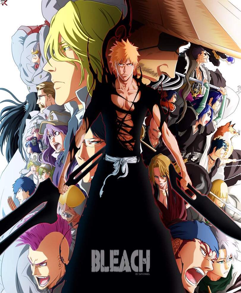 Bleach Anime Return