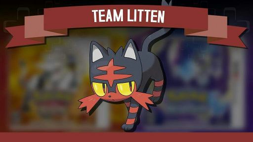 Litten | Wiki | Pokémon Amino