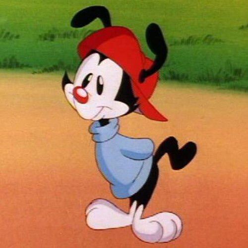 wakko-warner-wiki-cartoon-amino