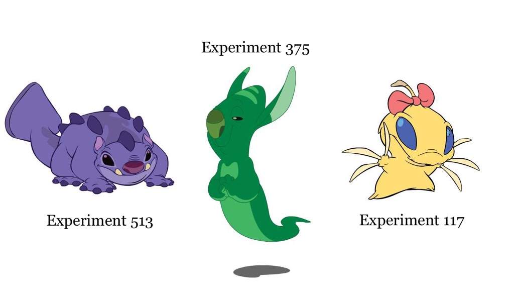 Experiment 513, 375, and 117.