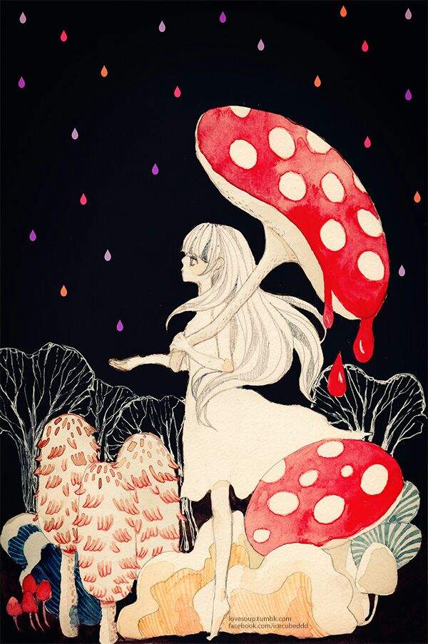 "Magic Mushrooms "🍄 | Anime Amino