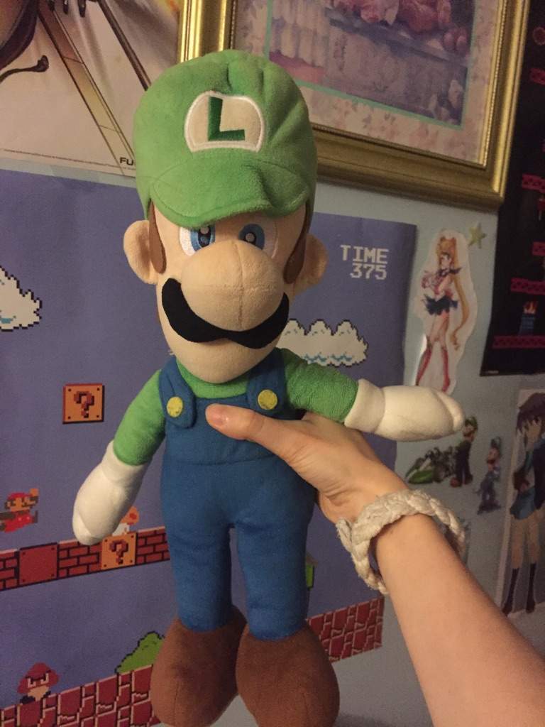 giant luigi plush