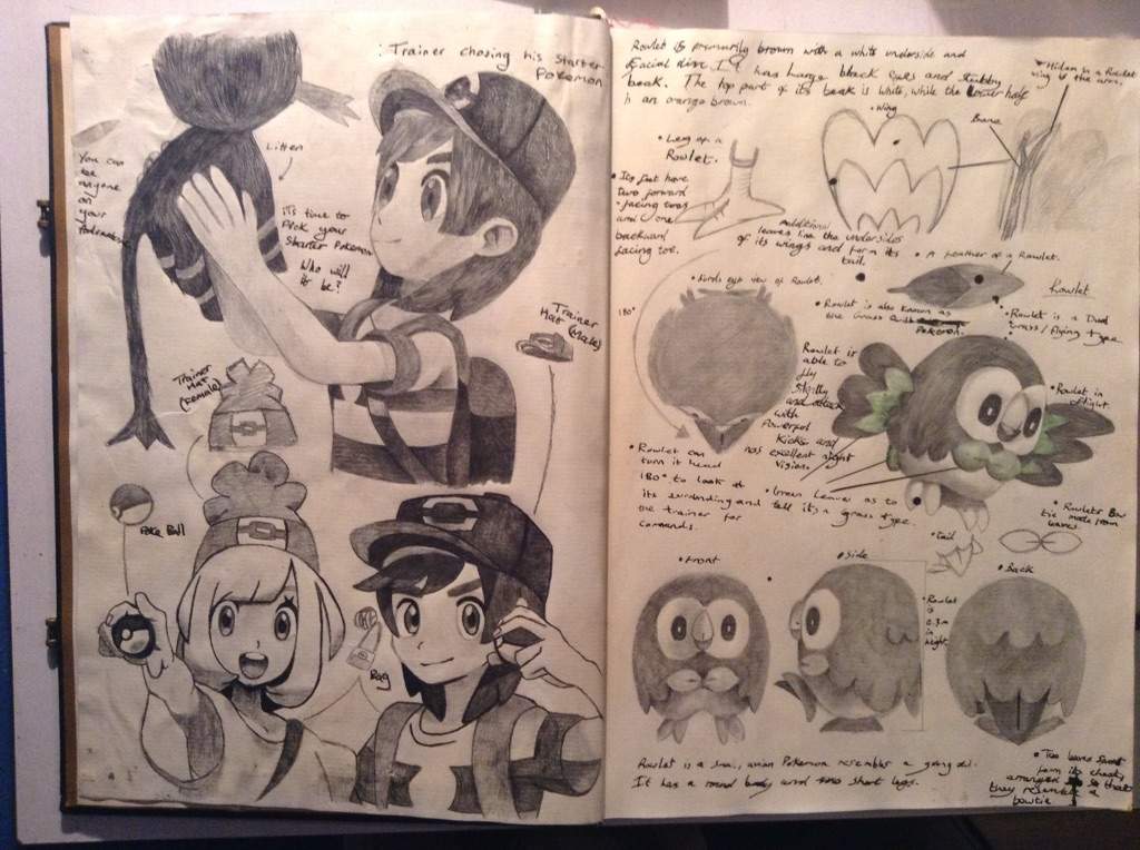 Pokemon Sun And Moon Book Page 2 Pokemon Amino