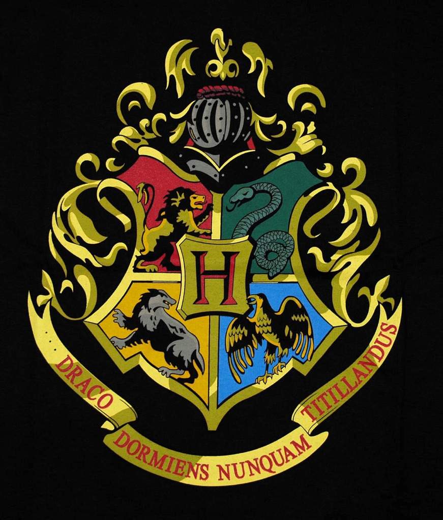 why-does-the-hogwarts-crest-say-never-tickle-a-sleeping-dragon