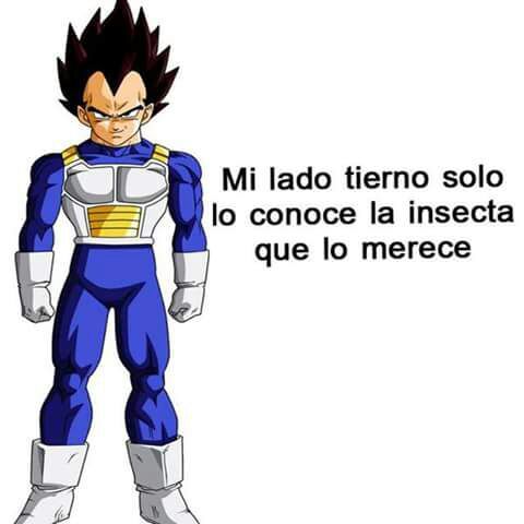 Yo soy vegeta jajaja xdxdxd | •Anime• Amino