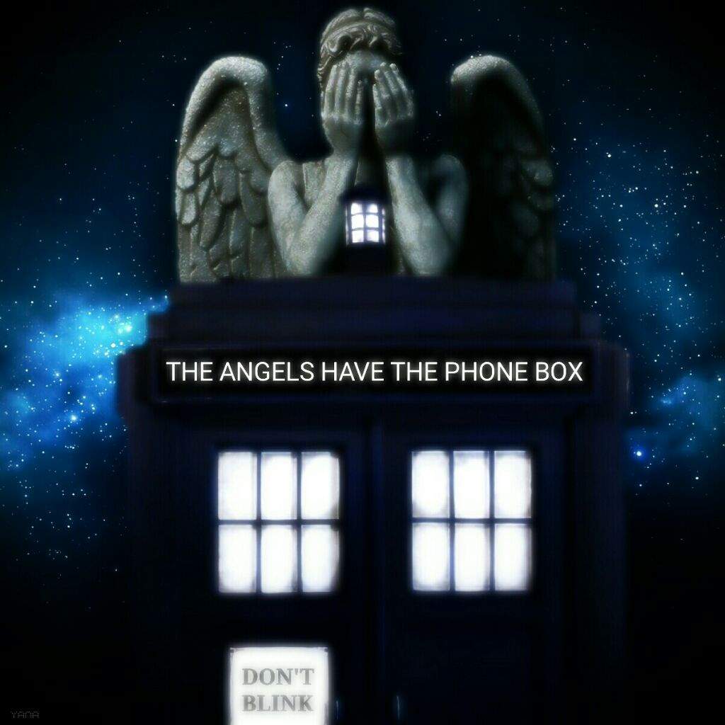 the angels have my phone box