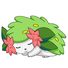 amino-Shy Shaymin-70743e68