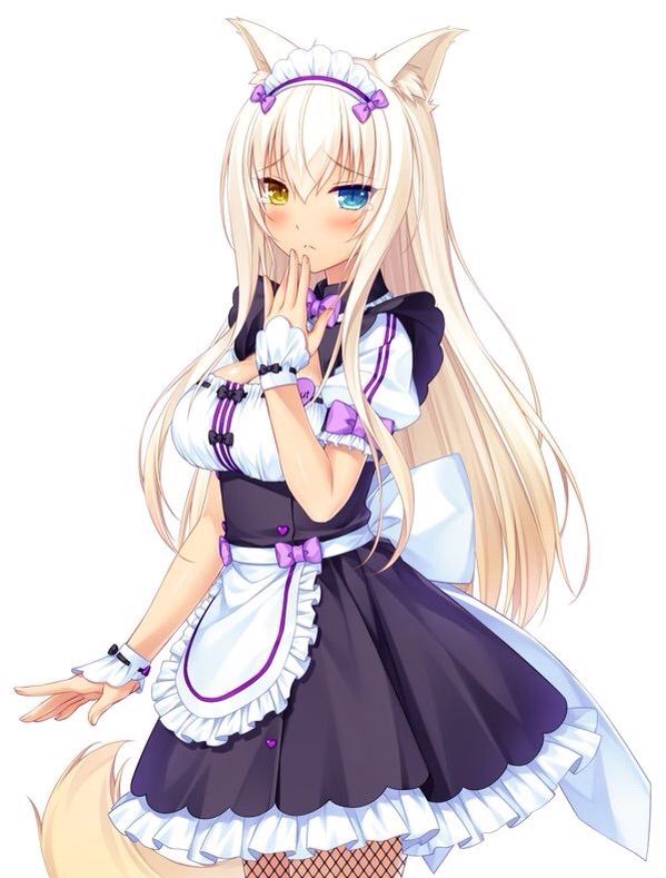 My Top 5 Nekopara Catgirls Anime Amino 5739