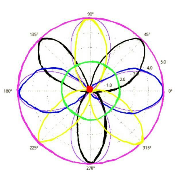 Zelda Based Polar Graphs | Zelda Amino