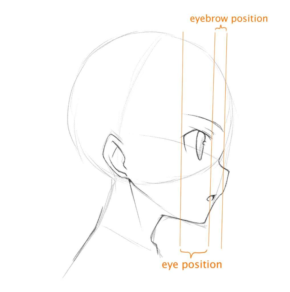  Anime  Face Side  View  Tutorial c MANGAACADEMY Anime  Amino