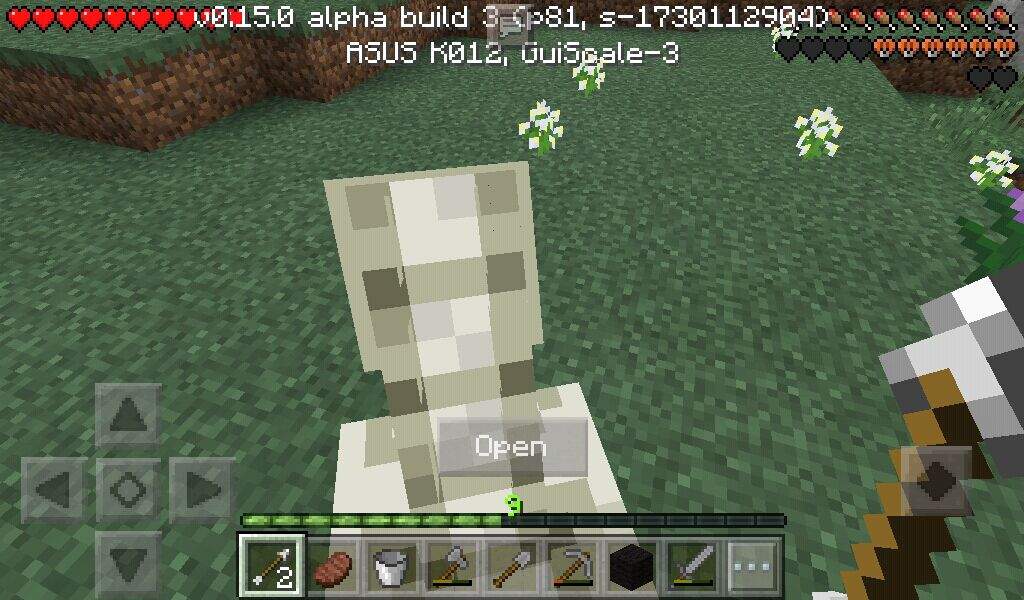 I Rode A Skeleton Horse Minecraft Amino