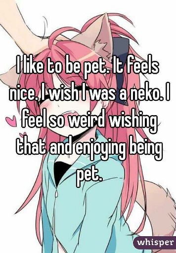 Would You Want A Actual Neko As A Pet? | Neko Amino