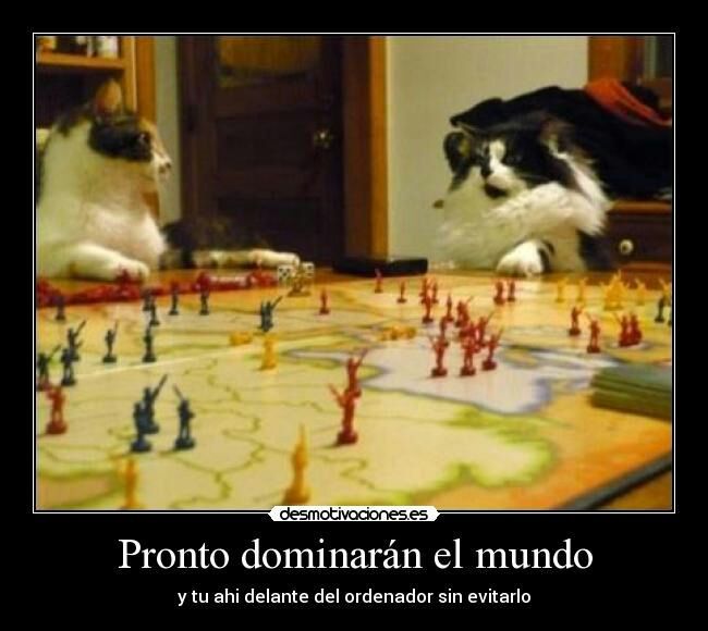 Resultado de imagen de los gatos dominarÃ¡n el mundo