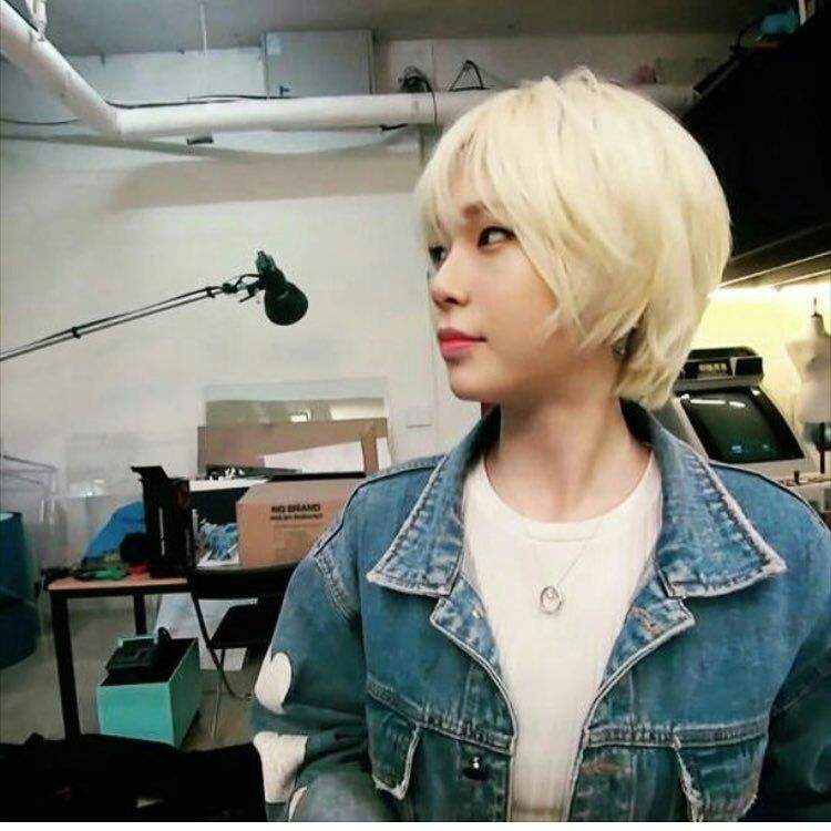 Bulldok | Wiki | K-Pop Amino