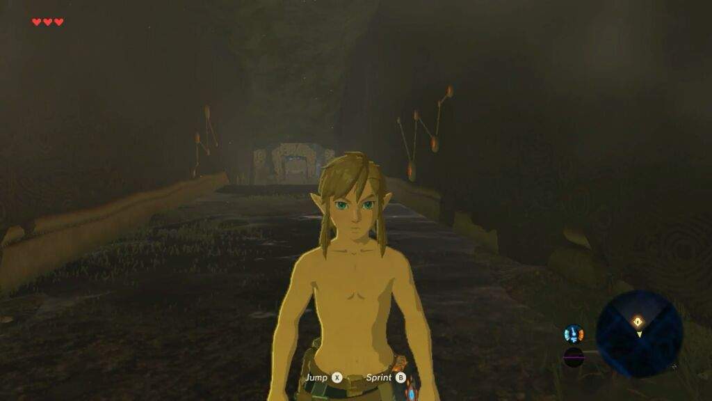 Shirtless Link Breath Of The Wild | Student in Scotland