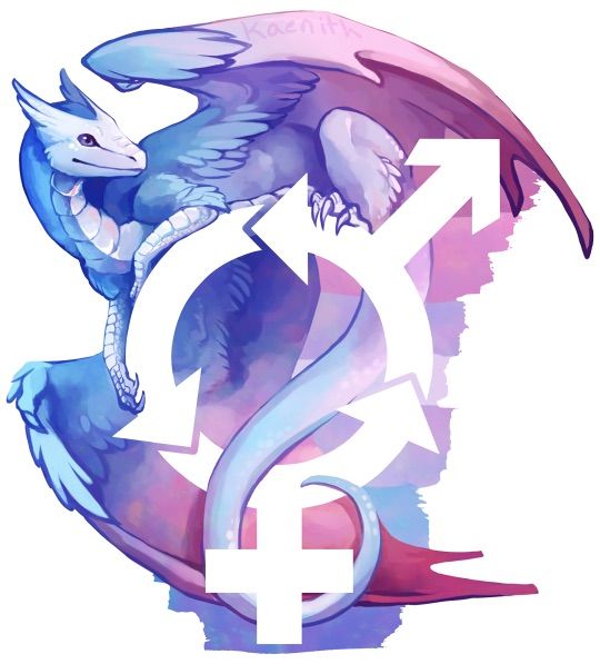 Kaenith S Pride Dragons Lgbt Amino