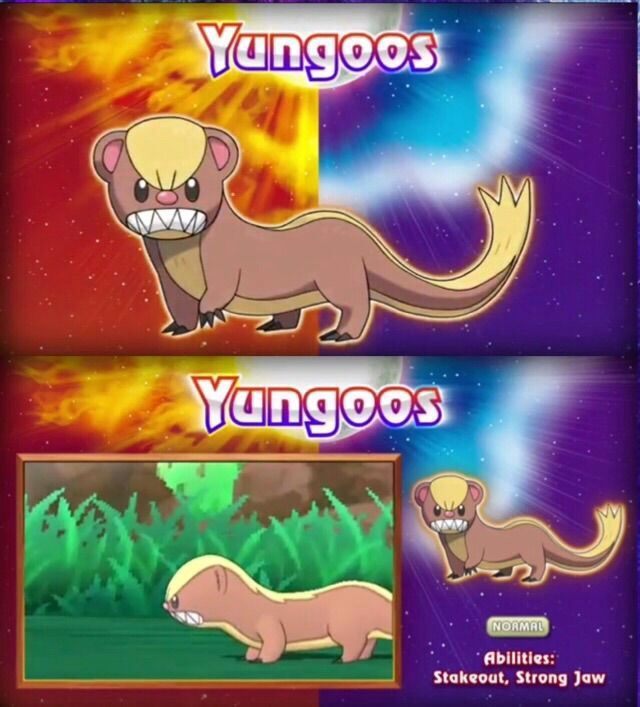 yungoos plush