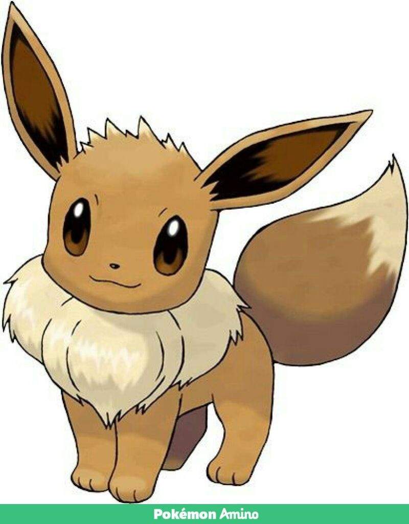 Boy eevee | Pokémon Amino