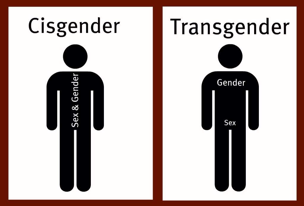 In short, it's those who's gender is the same as their birth sex....