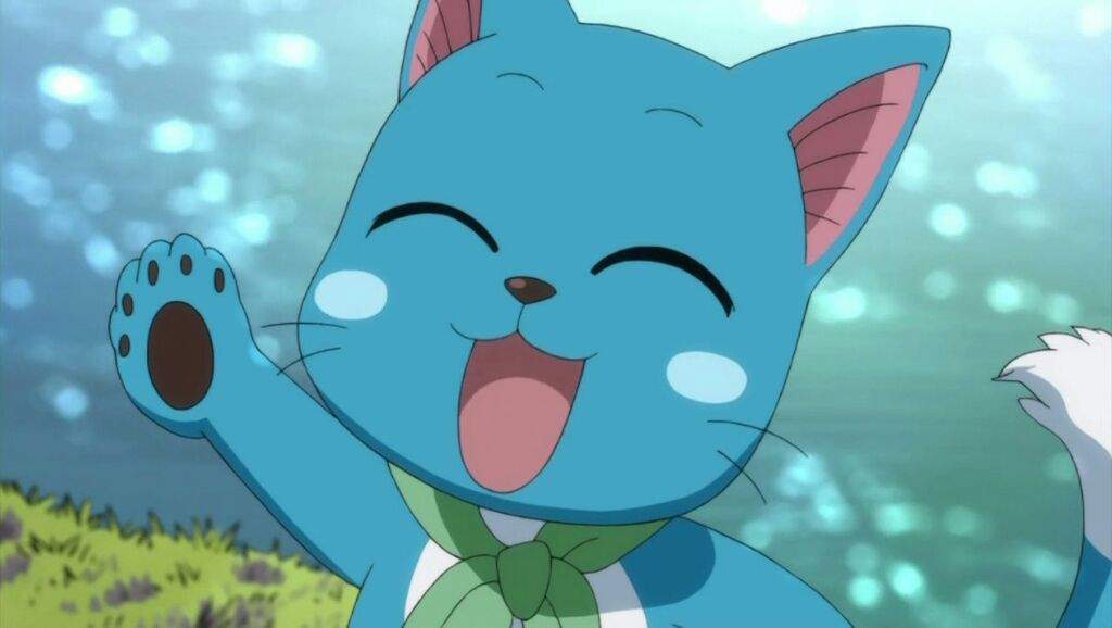 Hapopy The Fairy Tail Cat Anime Amino