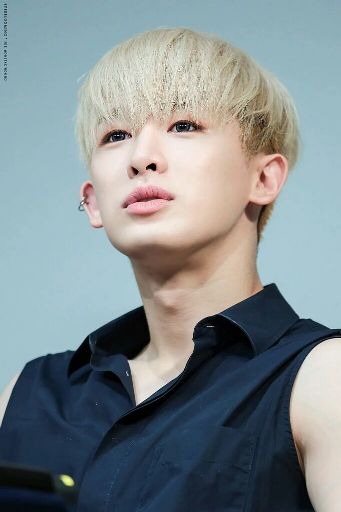 Wonho | Wiki | K-Pop Amino