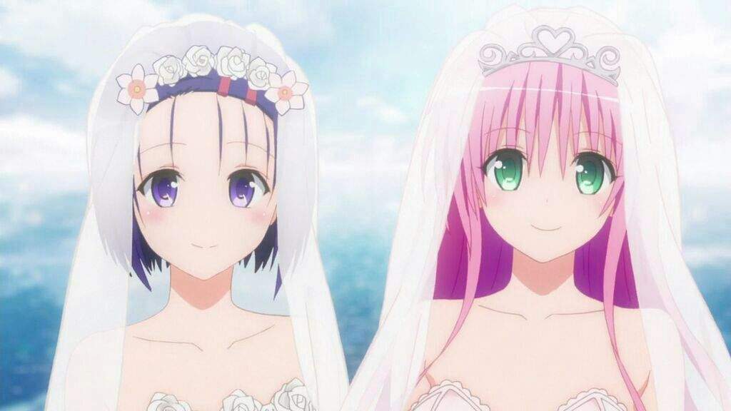 To Love Ru Wiki Anime Amino Daftsex Hd