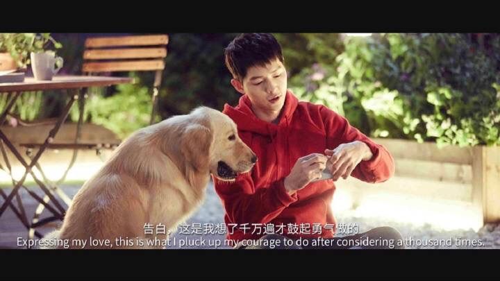 6 23 Vivo K Drama Amino 6 23 Vivo K Drama Amino