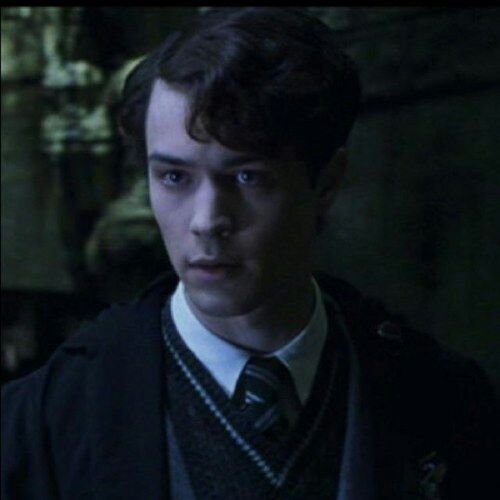 Do you like Tom Riddle? | Harry Potter Amino