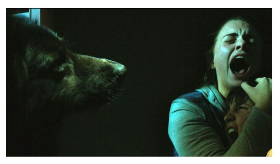 The Pack (2015) Movie Review | Horror Amino