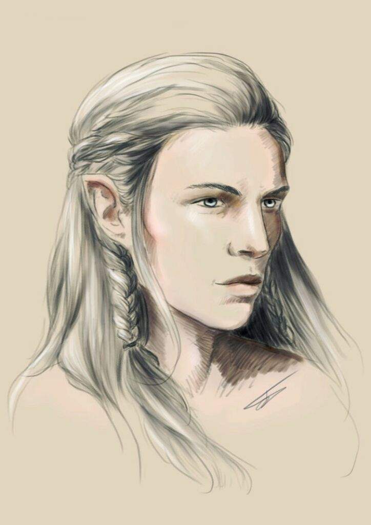 Beleg | LOTR Amino