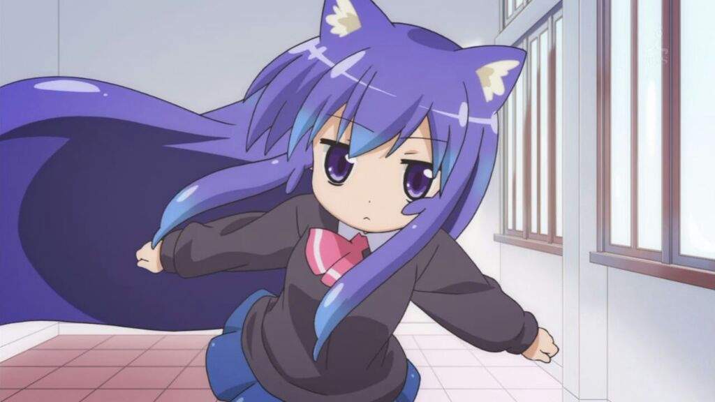 chicas gato ¿Qué son? | •Anime• Amino