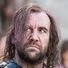 amino-Petyr Clegane-a6f7219f