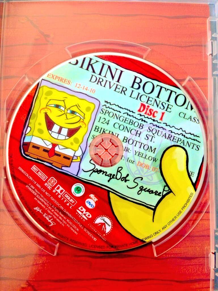 The Cartoon Revue Spongebob Squarepants Dvd Reviews Of Seasons 4