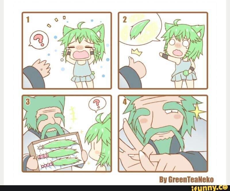 GreenTeaNeko | Wiki | Anime Amino