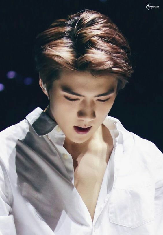 Oh Sehun Wiki •k Pop• Amino 1873