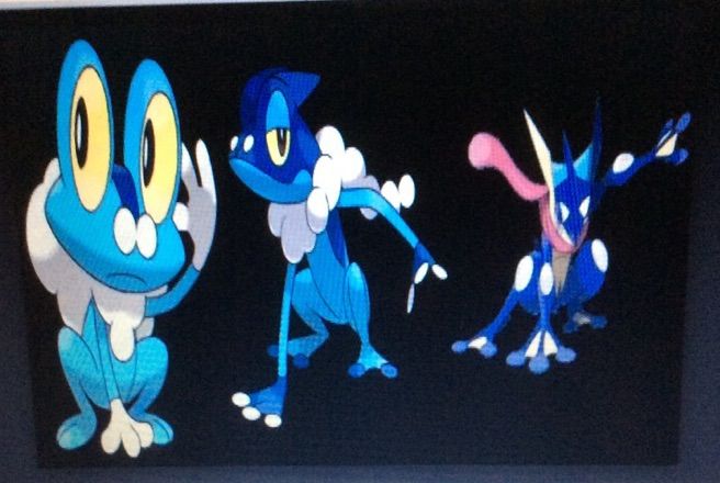 Las evoluciones de greninja | •Pokémon• En Español Amino