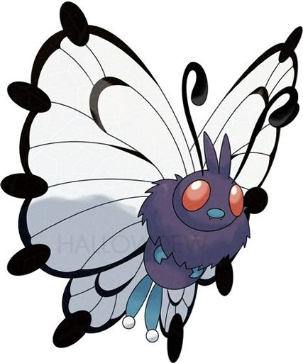 Bug / Fighting | Wiki | Pokémon Amino