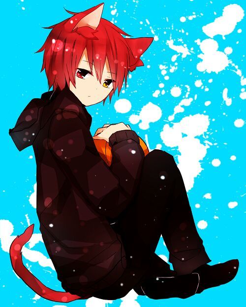 Akashi | Neko Amino