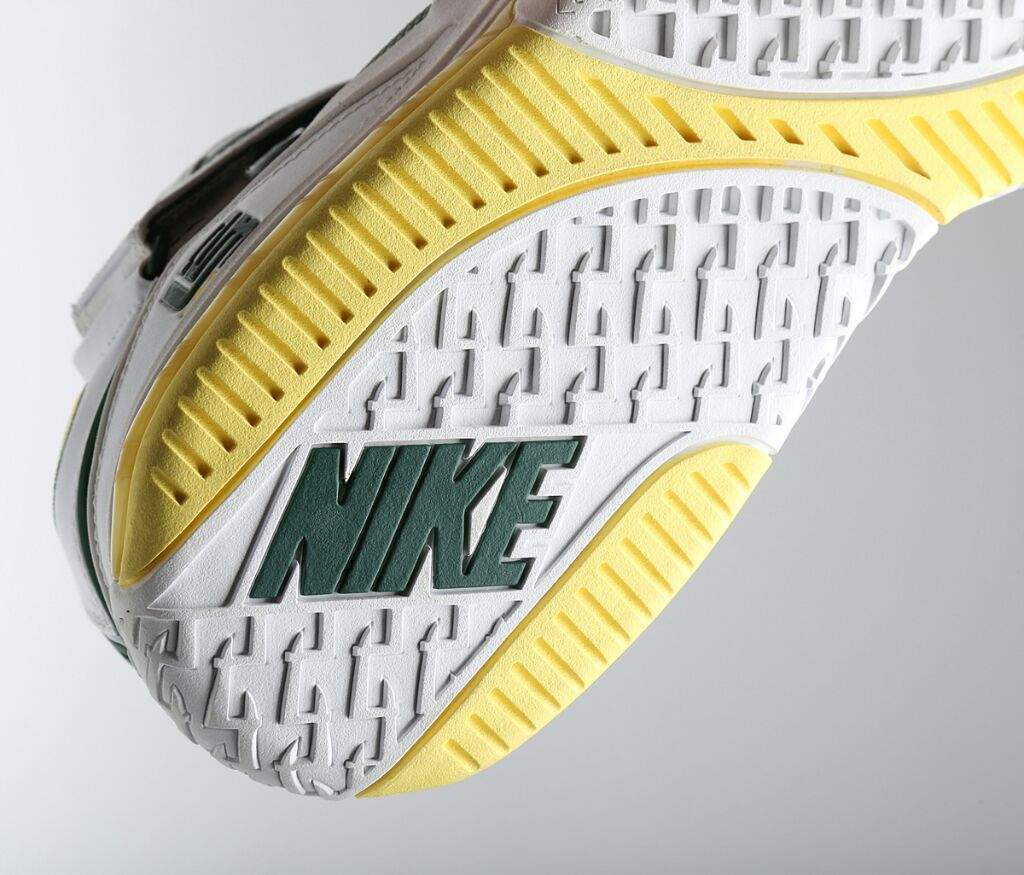 lebron 2.5