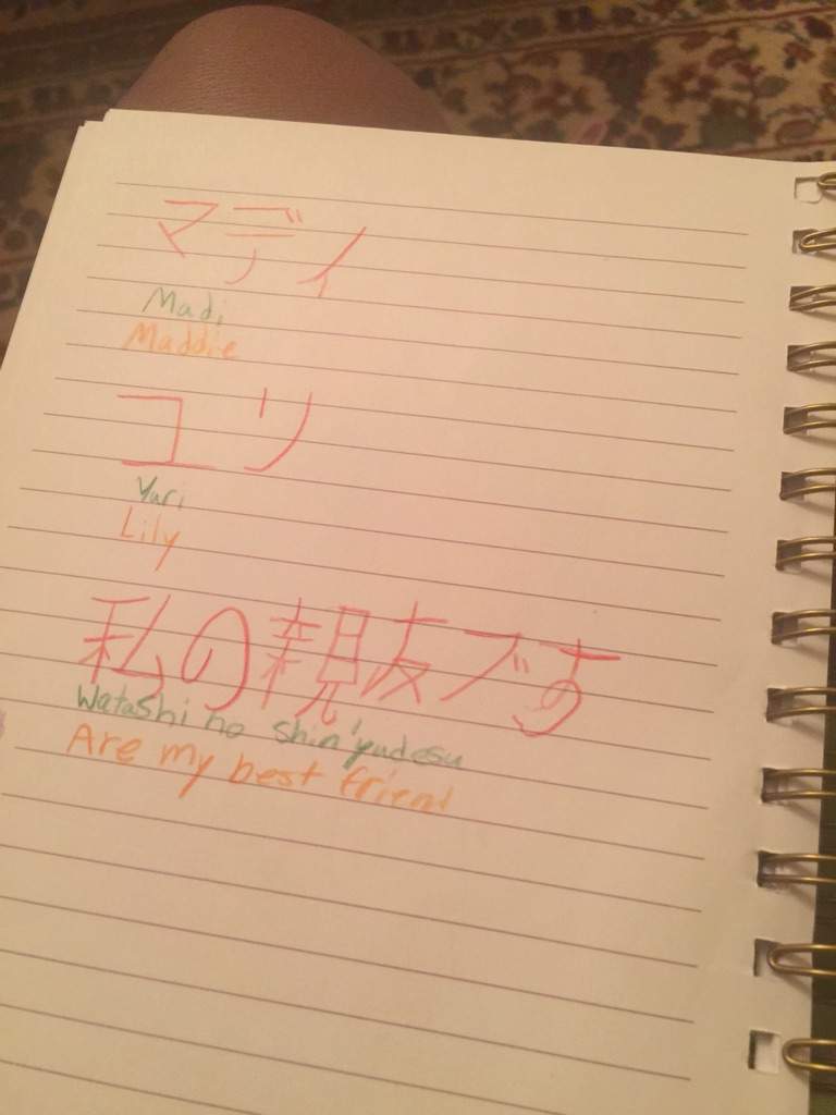 What is homework in japanese diary