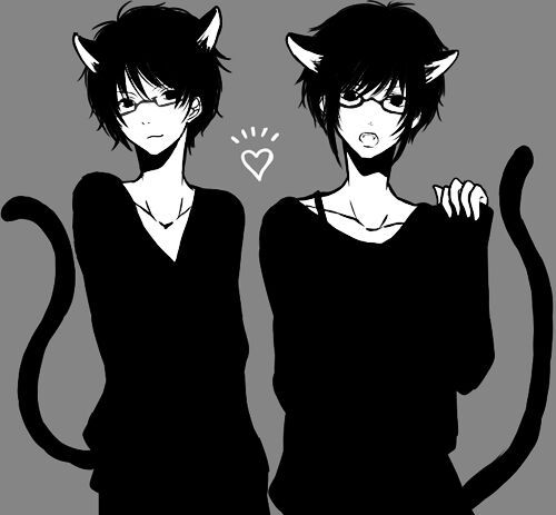 Gatos + Anime | •Anime• Amino
