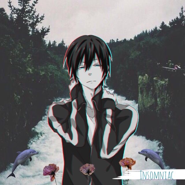 No Sleep Anime Amino No Sleep Anime Amino