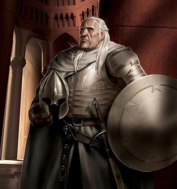 barristan selmy funko pop