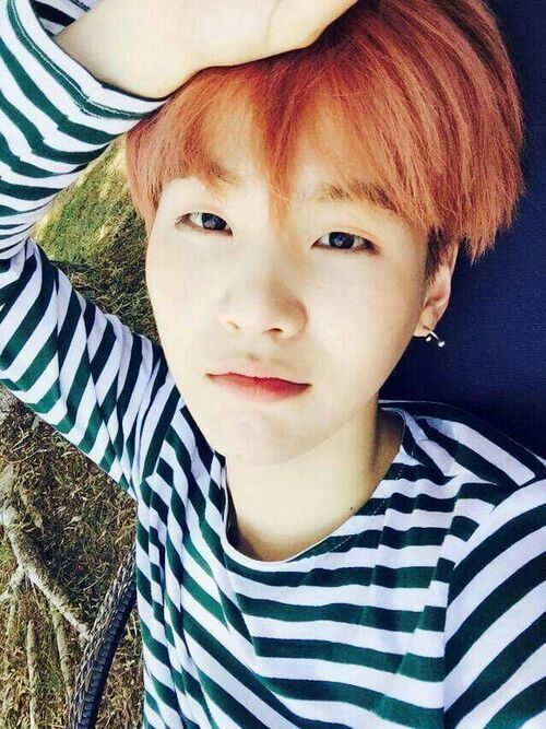 Suga Selcas • | K-Pop Amino