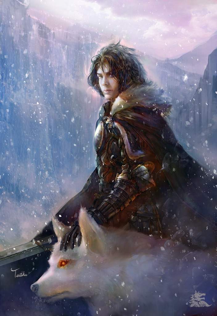 jon snow a song of ice and fire jon snow a song of ice and fire