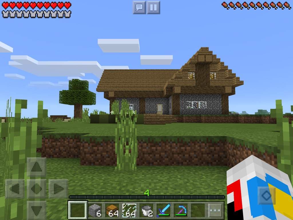 My home | Wiki | Minecraft Amino