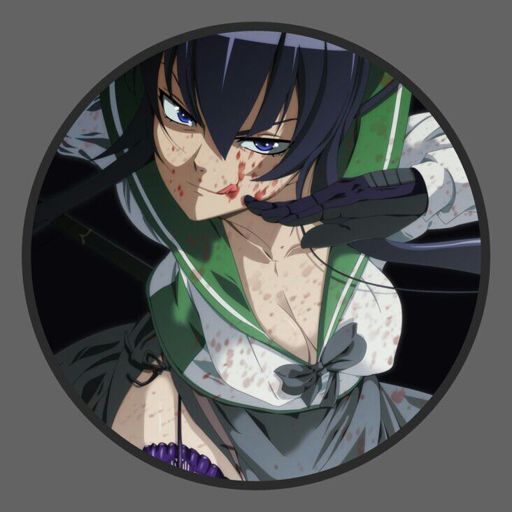 busujima saeko (highschool of the dead)